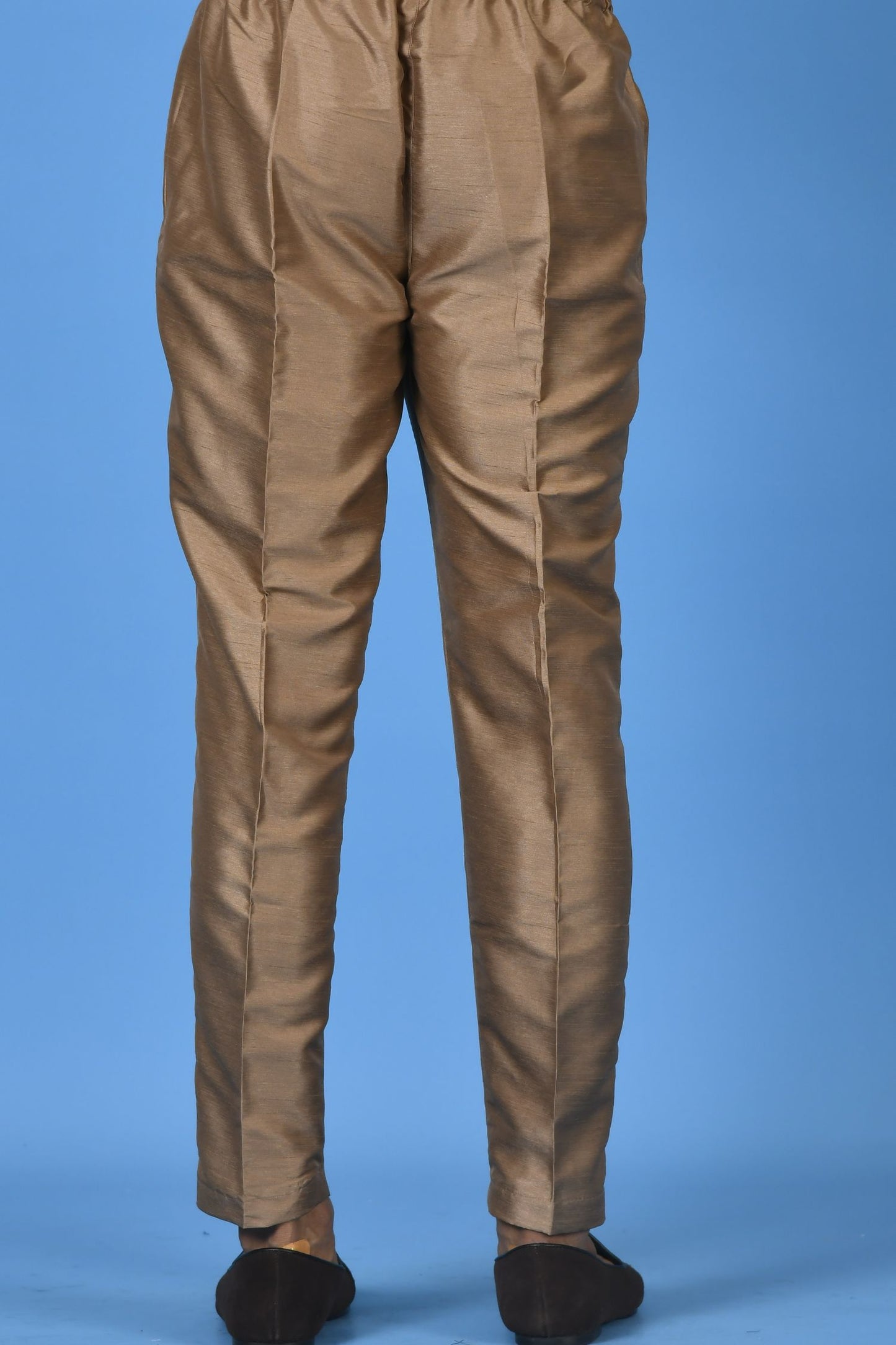Designer Pant In Brown
